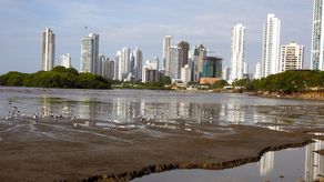MiAmbiente destaca la preservación y protección de los humedales de Panamá Viejo MiAmbiente destaca la preservación y protección de los humedales de Panamá Viejo