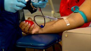 Realizaron jornada de donación de sangre en el Arzobispado de Panamá