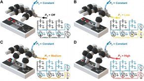 El equipo diseñó un circuito que permitía a la mano robótica funcionar en respuesta a la fuerza de una sola presión de control.