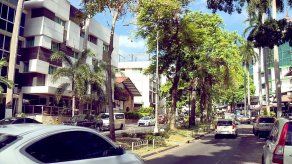 Estado interno de árboles en Vía Argentina es evaluado mediante tomografía sónica