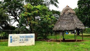 Minera canadiense apoyará investigaciones en sitio arqueológico panameño