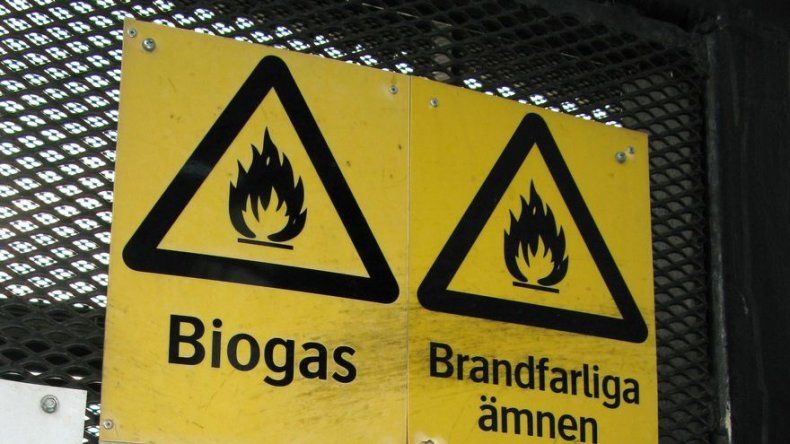 Guatemala y OEA inician plan piloto para utilizar etanol en vehículos