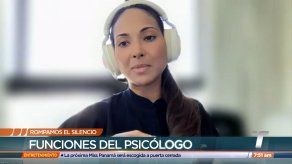 Rompamos el Silencio: funciones del psicólogo y del psiquiatra