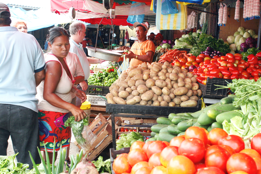 Minera Panamá: Productores reportan pérdidas de alimentos debo a la falta de comercialización.