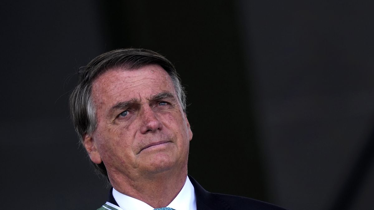 En el centro de la demanda están los “centros de reconciliación, creados por Bolsonaro en 2019 para que los infractores ambientales pudiesen recurrir sus multas.