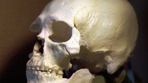 Hallan evidencias de una masacre prehistórica en Europa