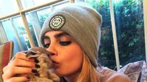 Cara Delevingne contrata una niñera para su conejo