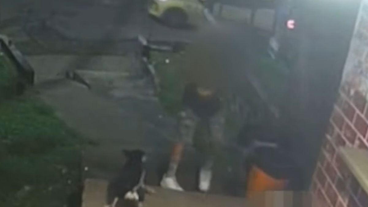 Captan en video a un hombre agredir a un perro en Las Cumbres
