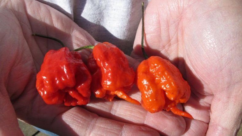 Acusan de poner salsa picante en boca de infante