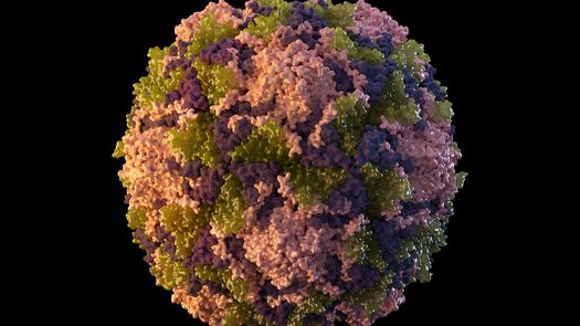 Los niños estadounidenses todavía son vacunados contra la polio de forma rutinaria.&nbsp;