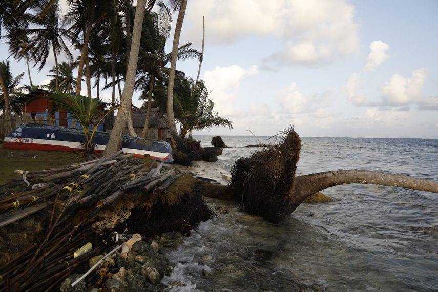 Los estudios ya finalizados se presentarán a todo el público general en enero del 2023.
