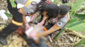 Lo sorprenden hurtando otoe y le machetean los pies