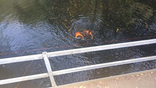 SINAPROC localiza sin vida a joven reportado como desaparecido en Los Santos. SINAPROC localiza sin vida a joven reportado como desaparecido en Los Santos.