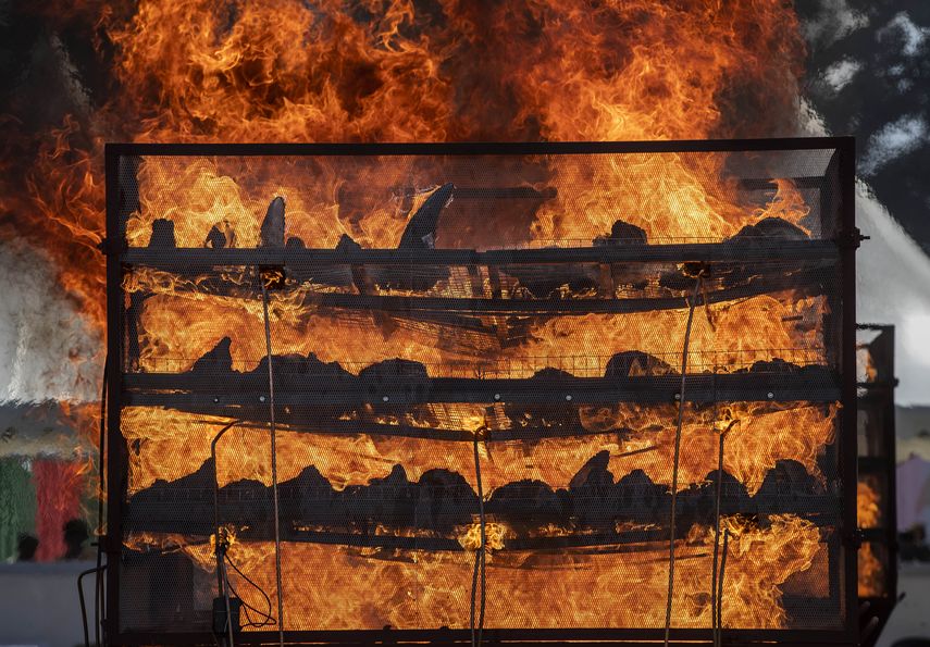 El funcionario decidió quemar los cuernos para crear conciencia sobre la necesidad de proteger a la especie y terminar con su caza furtiva.