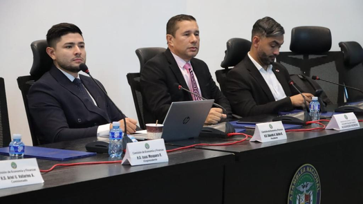 Asamblea Nacional concluye consultas sobre proyecto de ley de sustancia económica. Asamblea Nacional concluye consultas sobre proyecto de ley de sustancia económica.