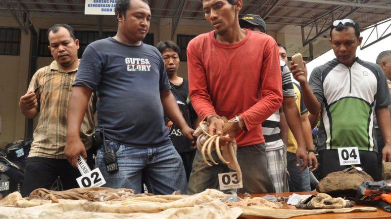 Un indonesio saqueaba tumbas para ser invisible y poder volar