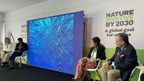 Panamá será sede de la secretaría del Comité Ministerial del Corredor Marino del Pacífico Este Tropical.