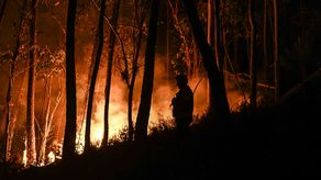 Unos 600 bomberos seguían movilizados en la zona.