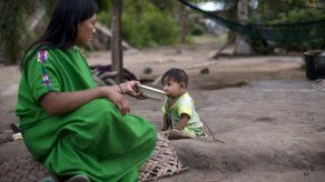 Desnutrición agobia a nativos asháninkas en Amazonía peruana