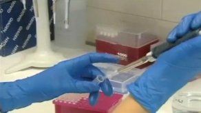 Descubrimiento permitiría bloquear metástasis en tipo de cáncer infantil