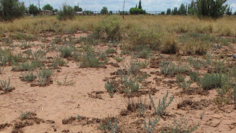 Historiadora descubre pasado de cementerio indio