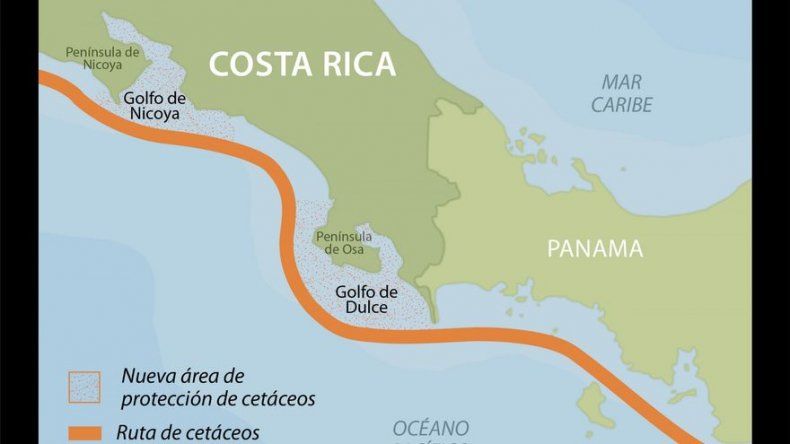 Costa Rica establece rutas para proteger especies en sus aguas del Pacífico