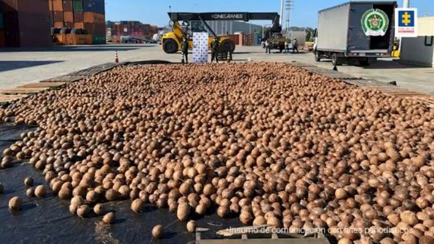 Los policías antinarcóticos hallaron cocaína en 19