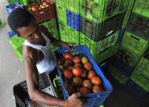 Economía de Panamá crecerá más de 10% en 2011