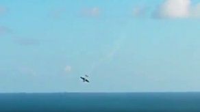 Muere piloto acrobático brasileño después que su avión cae al mar