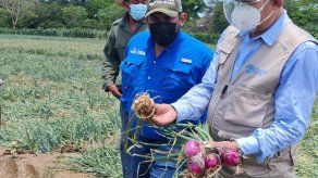 Tomada de @MIDAPma Tomada de @MIDAPma