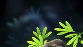 Nuevos fósiles del Jurásico añaden misterio a la evolución de mamíferos