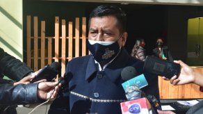 El presidente de la Cámara de Diputados de Bolivia, Freddy Mamani Laura.