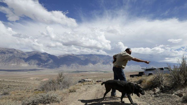 Perros que detectan cadáveres ganan aceptación