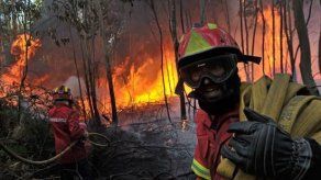 Casi 200 personas combaten dos incendios en el norte de Portugal
