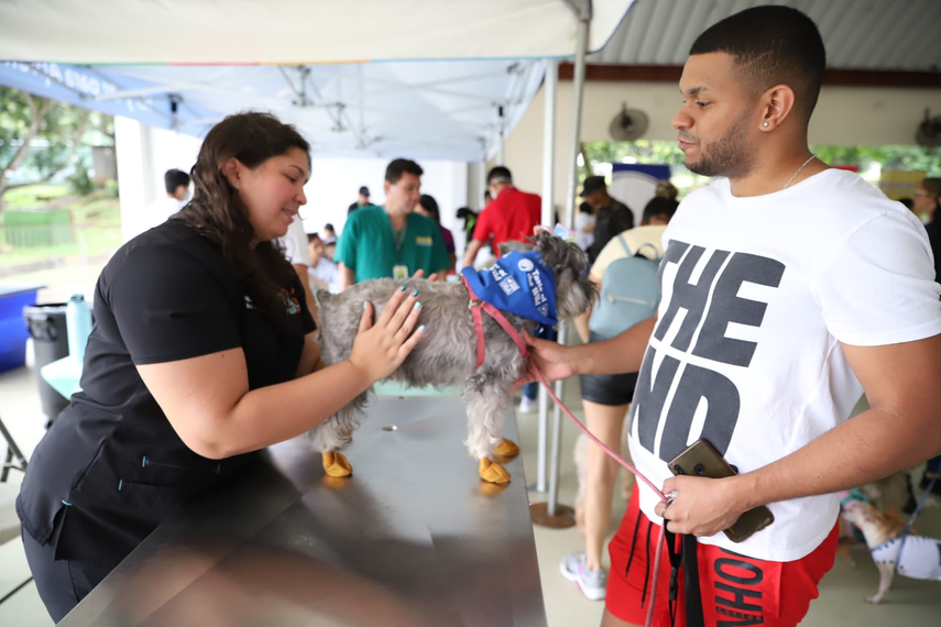 Feria Amo a mi mascota atenderá a perros gatos y hurones.&nbsp;
