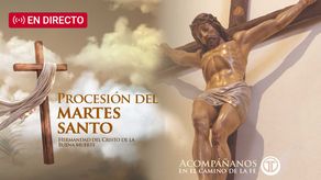 Transmisión en vivo de la procesión en el Casco Antiguo