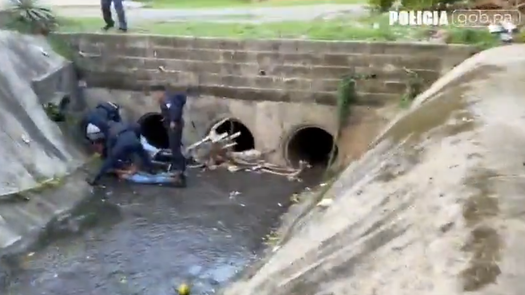 Policía Nacional captura a seis por robo a joyería Policía Nacional captura a seis por robo a joyería