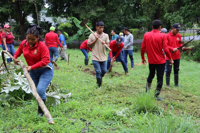 Siembran productos orgánicos en huerto urbano del MEDUCA
