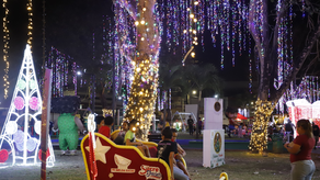 Actividades de Navidad.&nbsp;