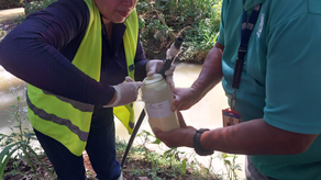 MiAmbiente investiga contaminación de río en La Chorrera MiAmbiente investiga contaminación de río en La Chorrera