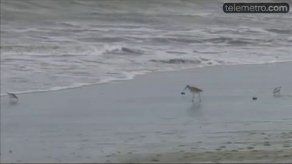 Caso de Juan Hombrón: Presentan querella ante Ministerio Público