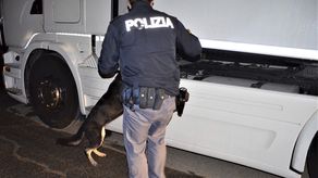 La investigación comenzó en febrero de 2019.