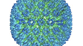 Estudio da pruebas de vínculo de virus Epstein-Barr con esclerosis múltiple