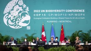 El Acuerdo histórico de Kunming-Montreal es una hoja de ruta que apunta a proteger las tierras y los océanos y evitar la extinción masiva de especies por la contaminación acelerada.