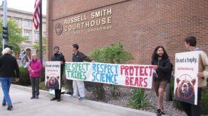 EEUU: Juez bloquea primera caza de oso grizzly en 40 años