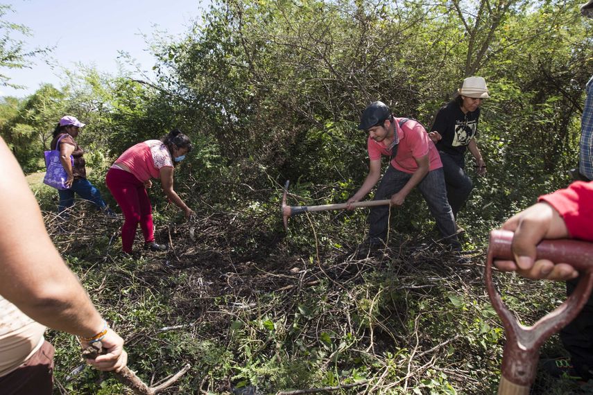 Los equipos voluntarios de búsqueda dicen que sólo quieren encontrar los restos de sus seres queridos para darles un entierro adecuado.