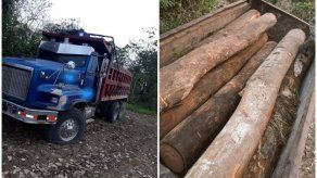 Hallan vehículo con madera ilegal en la provincia de Darién