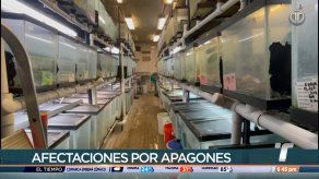 Apagones afectan a criadero de la rana dorada en El Valle de Antón