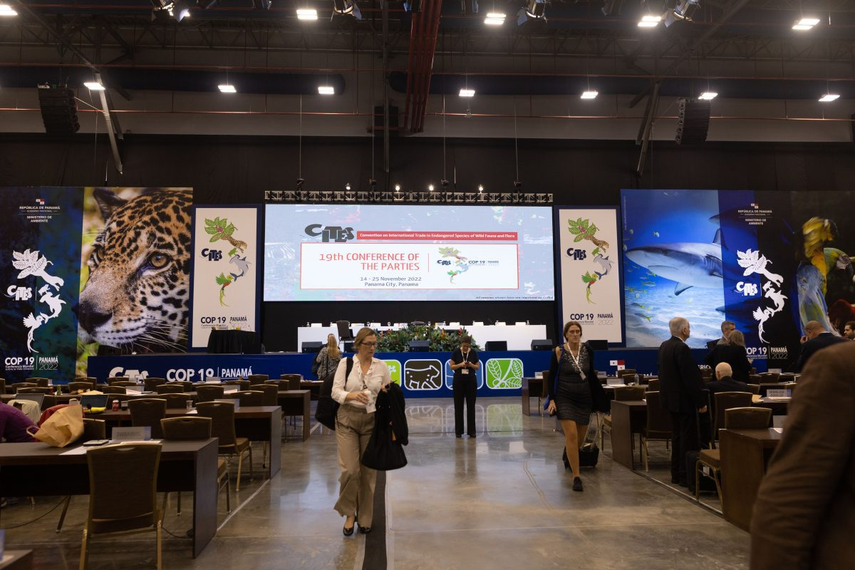 Panama Convention Center, albergó el evento mundial de la CoP19 de Cites