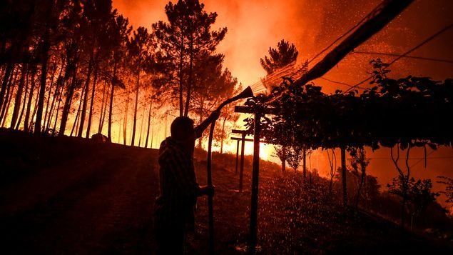 Donantes comprometen B/. 500 millones más para selvas tropicales